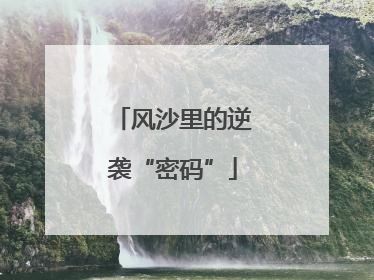 风沙里的逆袭“密码”