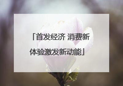 首发经济 消费新体验激发新动能