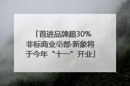 首进品牌超30% 非标商业亳都·新象将于今年“十一”开业
