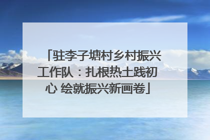 驻李子塘村乡村振兴工作队：扎根热土践初心 绘就振兴新画卷
