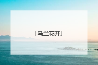 马兰花开