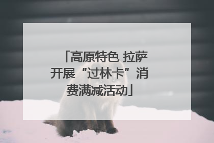 高原特色 拉萨开展“过林卡”消费满减活动