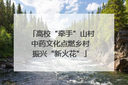高校“牵手”山村 中药文化点燃乡村振兴“新火花”