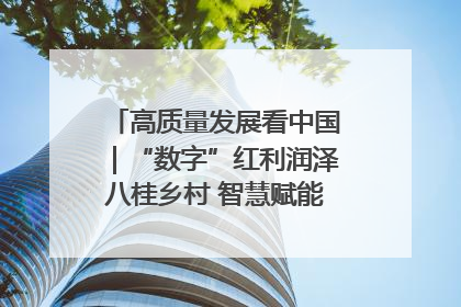 高质量发展看中国｜“数字”红利润泽八桂乡村 智慧赋能绘就振兴画卷