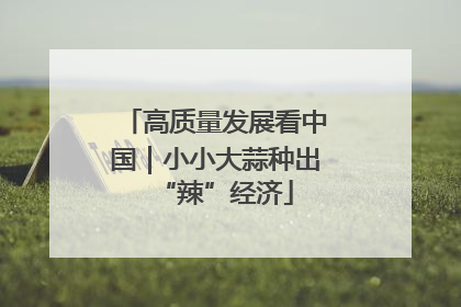 高质量发展看中国｜小小大蒜种出“辣”经济
