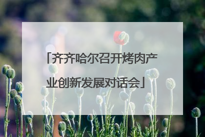 齐齐哈尔召开烤肉产业创新发展对话会