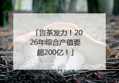 鲁茶发力！2026年综合产值要超200亿！