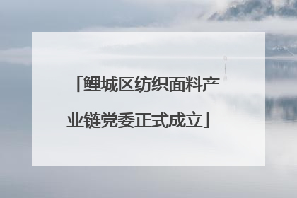 鲤城区纺织面料产业链党委正式成立