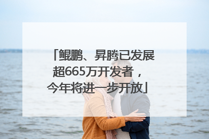 鲲鹏、昇腾已发展超665万开发者，今年将进一步开放