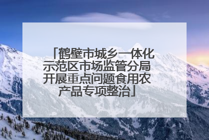 鹤壁市城乡一体化示范区市场监管分局开展重点问题食用农产品专项整治