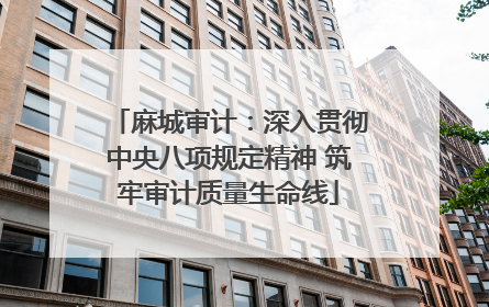 麻城审计：深入贯彻中央八项规定精神 筑牢审计质量生命线