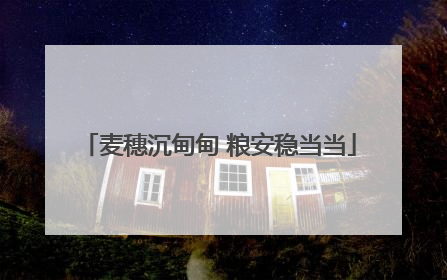 麦穗沉甸甸 粮安稳当当