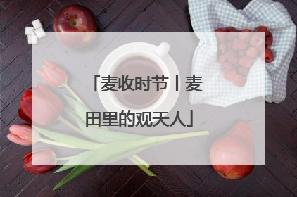 麦收时节丨麦田里的观天人