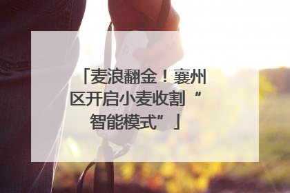 麦浪翻金！襄州区开启小麦收割“智能模式”