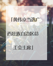 黄伟京当选广西壮族自治区总工会主席