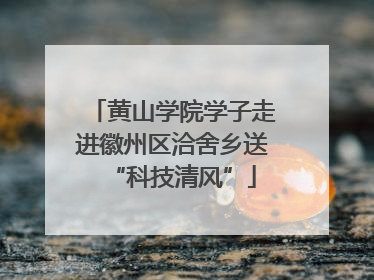 黄山学院学子走进徽州区洽舍乡送“科技清风”