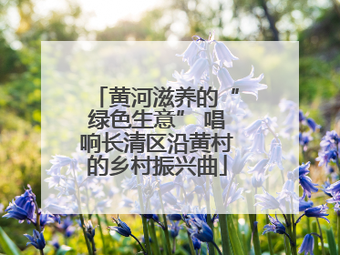 黄河滋养的“绿色生意” 唱响长清区沿黄村的乡村振兴曲