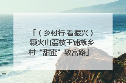 （乡村行·看振兴）一颗火山荔枝王铺就乡村“甜蜜”致富路