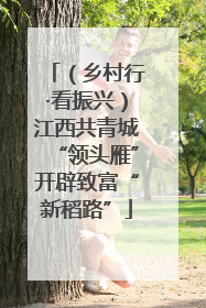 （乡村行·看振兴）江西共青城“领头雁”开辟致富“新稻路”
