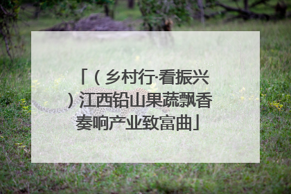 （乡村行·看振兴）江西铅山果蔬飘香 奏响产业致富曲