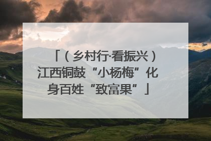 （乡村行·看振兴）江西铜鼓“小杨梅”化身百姓“致富果”