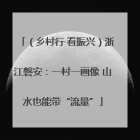（乡村行·看振兴）浙江磐安：一村一画像 山水也能带“流量”