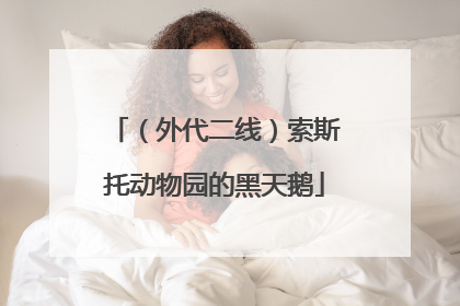 （外代二线）索斯托动物园的黑天鹅