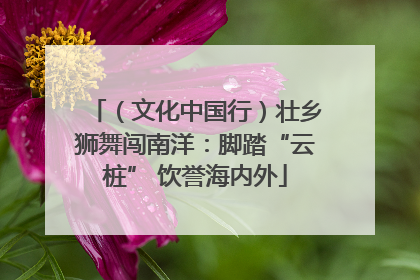 （文化中国行）壮乡狮舞闯南洋：脚踏“云桩” 饮誉海内外