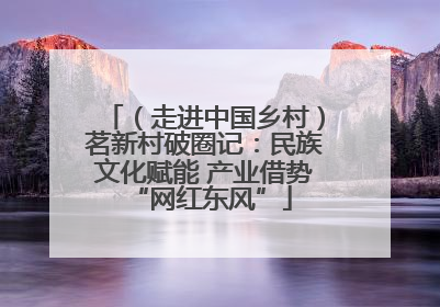 （走进中国乡村）茗新村破圈记：民族文化赋能 产业借势 “网红东风”