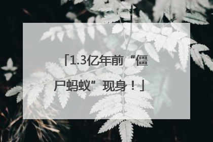 1.3亿年前“僵尸蚂蚁”现身！