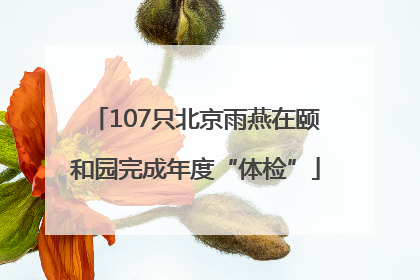 107只北京雨燕在颐和园完成年度“体检”