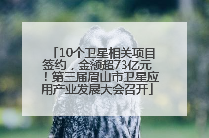 10个卫星相关项目签约，金额超73亿元！第三届眉山市卫星应用产业发展大会召开