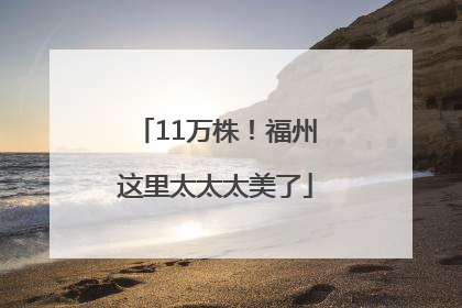 11万株！福州这里太太太美了