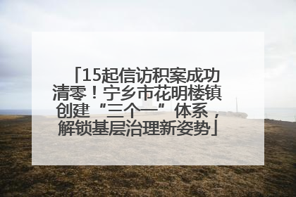 15起信访积案成功清零！宁乡市花明楼镇创建“三个一”体系，解锁基层治理新姿势
