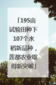 195亩试验田种下107个水稻新品种，莲都农业取得新突破
