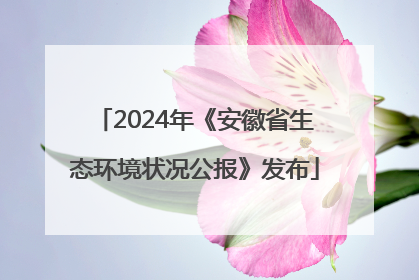 2024年《安徽省生态环境状况公报》发布