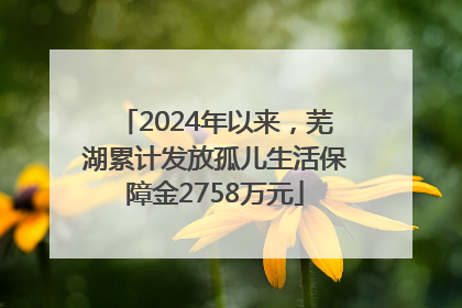 2024年以来，芜湖累计发放孤儿生活保障金2758万元