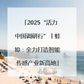 2025“活力中国调研行”丨蚌埠：全力打造智能传感产业新高地