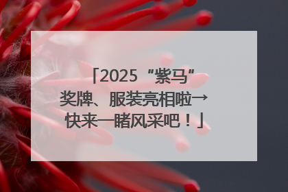 2025“紫马”奖牌、服装亮相啦→快来一睹风采吧！