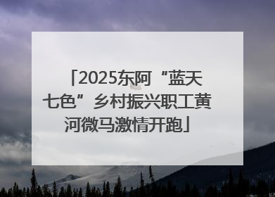 2025东阿“蓝天七色”乡村振兴职工黄河微马激情开跑