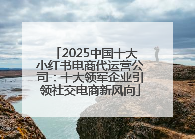 2025中国十大小红书电商代运营公司：十大领军企业引领社交电商新风向