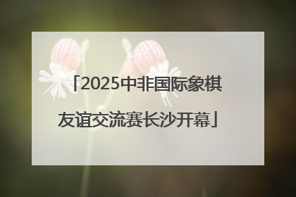 2025中非国际象棋友谊交流赛长沙开幕