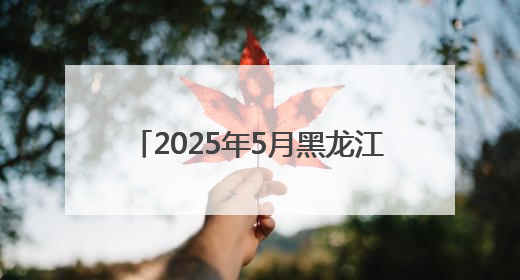 2025年5月黑龙江省查处违反中央八项规定精神问题805起