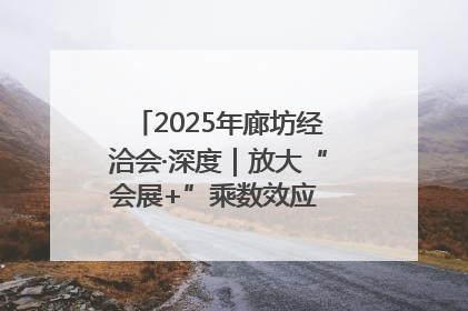 2025年廊坊经洽会·深度｜放大“会展+”乘数效应 打造消费新场景