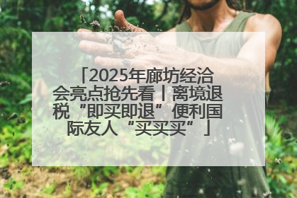 2025年廊坊经洽会亮点抢先看丨离境退税“即买即退”便利国际友人“买买买”