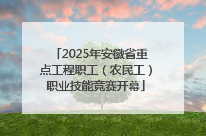 2025年安徽省重点工程职工（农民工）职业技能竞赛开幕