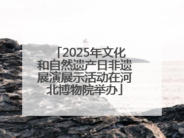 2025年文化和自然遗产日非遗展演展示活动在河北博物院举办