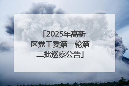 2025年高新区党工委第一轮第二批巡察公告