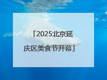 2025北京延庆区美食节开幕