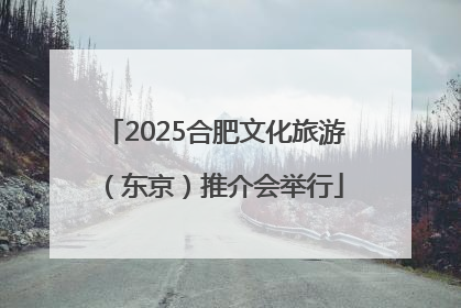 2025合肥文化旅游(东京)推介会举行